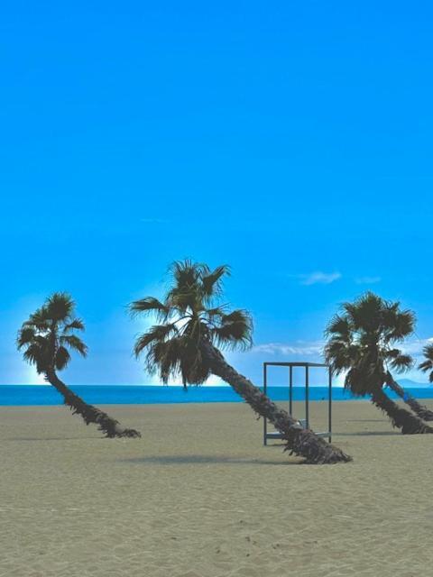 Appartement 4 Personnes Piscine 300 Plage 4Pb287 Le Barcarès Exteriör bild